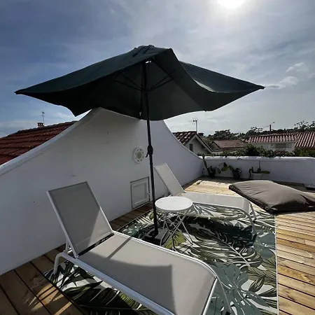 Avec Piscine Privee Climatisation Et Wifi Equipee Pour 6 Personnes - 6vhip3 *