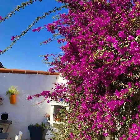 Avec Piscine Privee Climatisation Et Wifi Equipee Pour 6 Personnes - 6vhip3 *